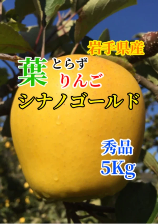【ギフト対応可能】葉取らずりんご シナノゴールド  秀品 5Kg
