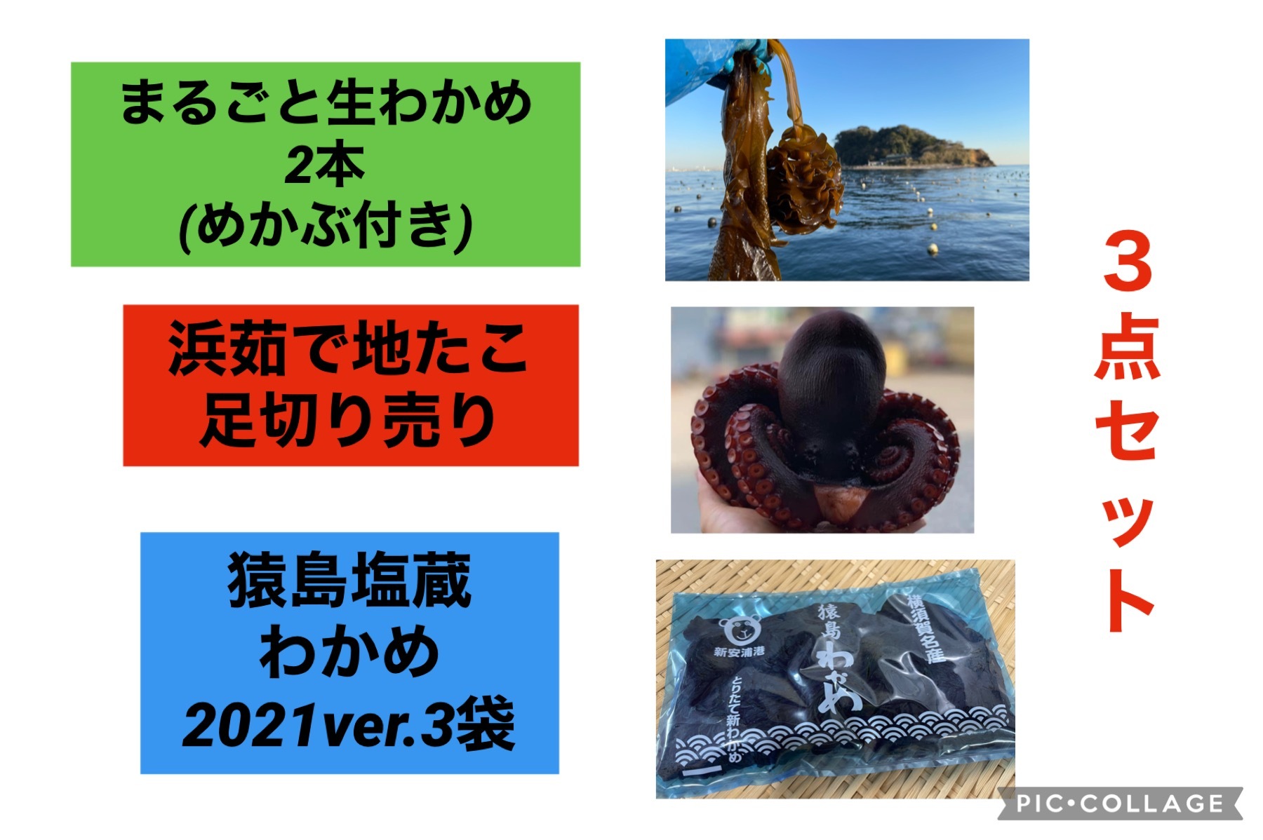 まるごと生わかめ めかぶ付き 2本 浜茹で地たこ足切り売りセット 農家漁師から産地直送の通販 ポケットマルシェ