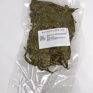乾燥セイタカアワダチソウ　自然野草(無農薬無施肥)　30g
