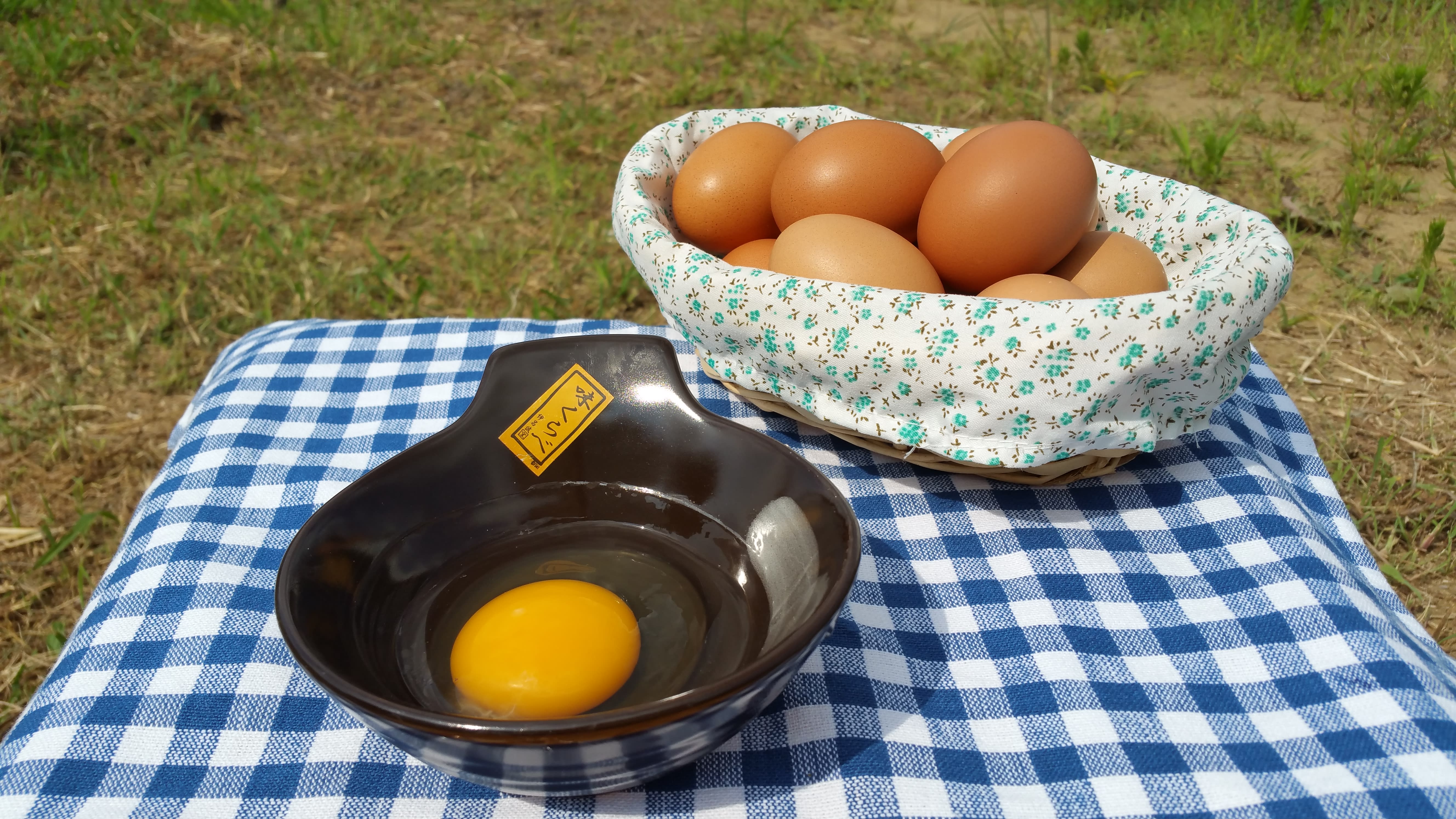 放し飼いで育った鶏が産んだ卵 48個 農家漁師から産地直送の通販 ポケットマルシェ