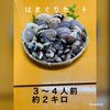 5月～出荷　はまぐりセット各種　1キロ～