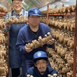 櫻田雄介