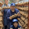 櫻田雄介