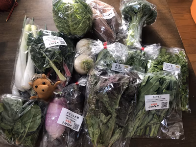 みんなの投稿の画像