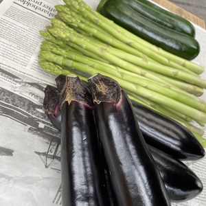 トロッとトロけるトロ茄子と夏野菜のセット