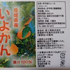 愛媛県産　いよかんジュース