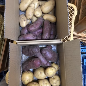 新ジャガイモ3種種盛り(キタアカリ、メークイン、ノーザンルビー)