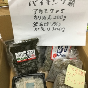 送料アップ前爆弾箱！釜揚げ＆ちりめん＆増量かえり！アカモク！欲しいコメント必須