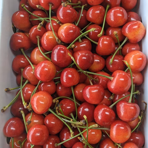 さくらんぼ紅秀峰Mサイズバラ詰め