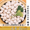 苦味が少ない、もっちもち銀杏【久寿】2Lサイズ 500g