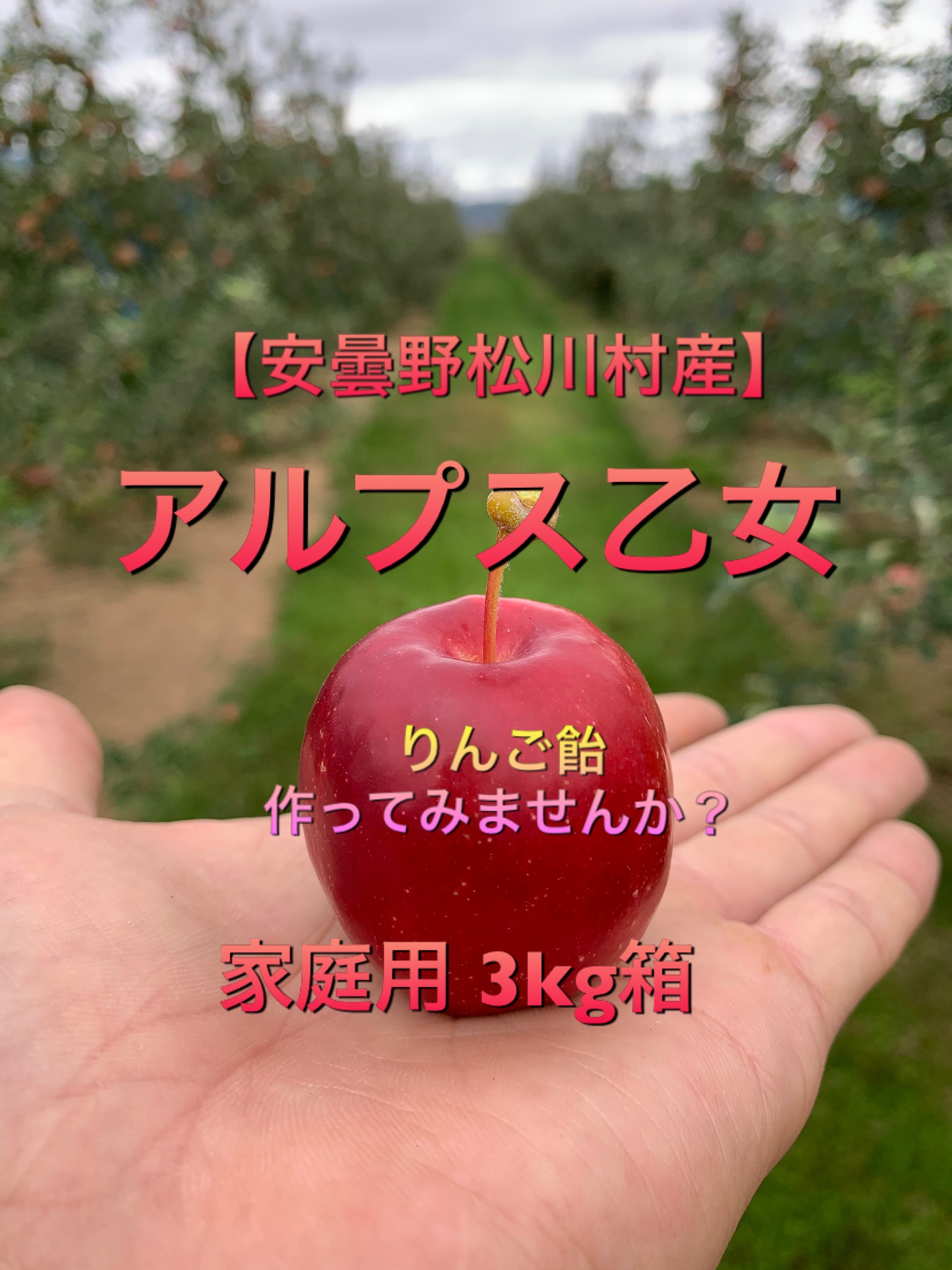 りんご飴にも 手のひらりんご 安曇野松川村産 アルプス乙女 3kg家庭用 農家漁師から産地直送の通販 ポケットマルシェ