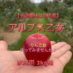 りんご飴にも！手のひらりんご！ 安曇野松川村産【アルプス乙女】3kg家庭用　