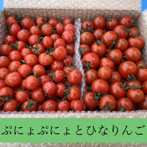 美味しいよ　青森県産　超薄皮トマト『ぷにょぷにょ』と濃厚ミニトマト『ひなりんご』