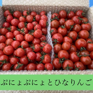 美味しいよ　青森県産　超薄皮トマト『ぷにょぷにょ』と濃厚ミニトマト『ひなりんご』