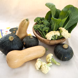 野菜ソムリエが厳選したハロウィーンセット　（規格外含む）