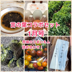 【茨城の魅力を詰め込み】言の葉詰め合わせセット！1月号！