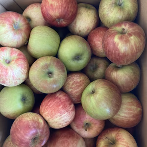 スーパー規格外訳ありサンつがる10キロバラ詰　つがるりんご