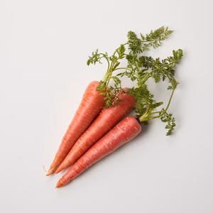 鈴盛農園の赤人参 京くれない sweetcarrotlily®︎The RED