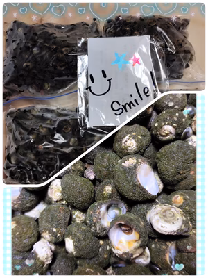 みんなの投稿の画像