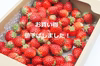 イチゴジャム用バラ詰め 800ｇ入(宮城県産)