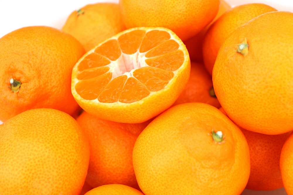 ≪柳フルーツ園≫YM-L訳あり(ご家庭用)大玉みかん｜みかんの商品詳細