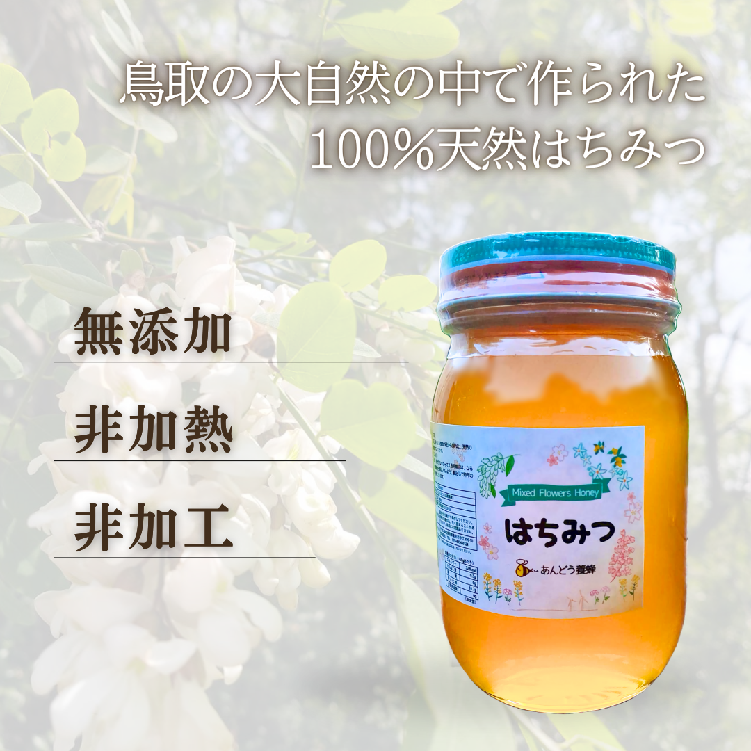 添加物なし】はちみつ 600g×2瓶 蜂蜜 ハチミツ セイヨウミツバチ｜蜂蜜の商品詳細｜ポケットマルシェ｜産直(産地直送)通販 -  旬の果物・野菜・魚介をお取り寄せ