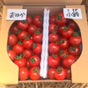 【ポケマル限定】高糖度ミニトマト　食べ比べ