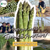 北海道栗山町産 朝どれ濃厚グリーンアスパラ【4月発送】