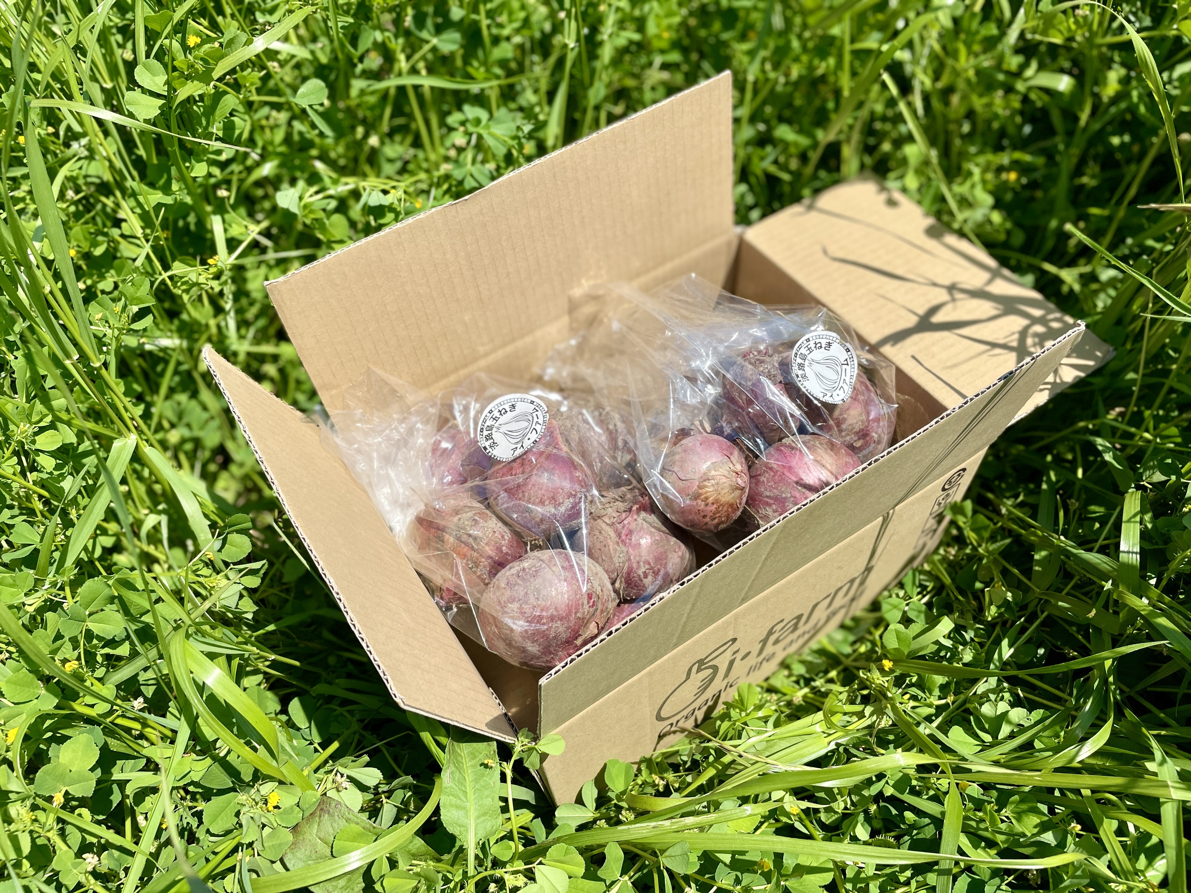 淡路島産】農薬化学肥料除草剤不使用新赤玉ねぎ｜野菜の商品詳細｜ポケットマルシェ｜産直(産地直送)通販 - 旬の果物・野菜・魚介をお取り寄せ