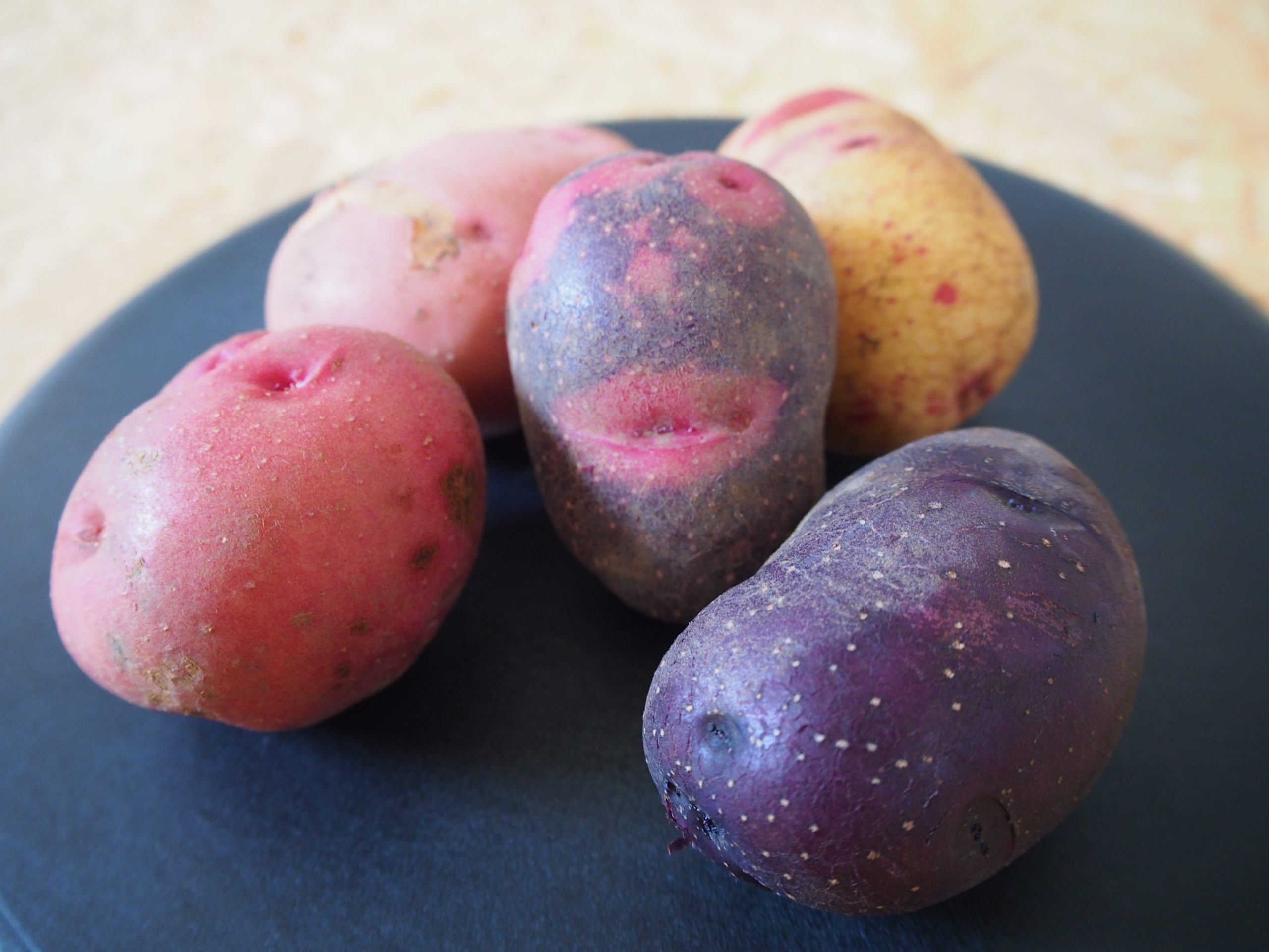 タワラマゼランの産直通販・お取り寄せ商品｜ポケットマルシェ｜産地