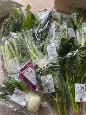 みんなの投稿の画像