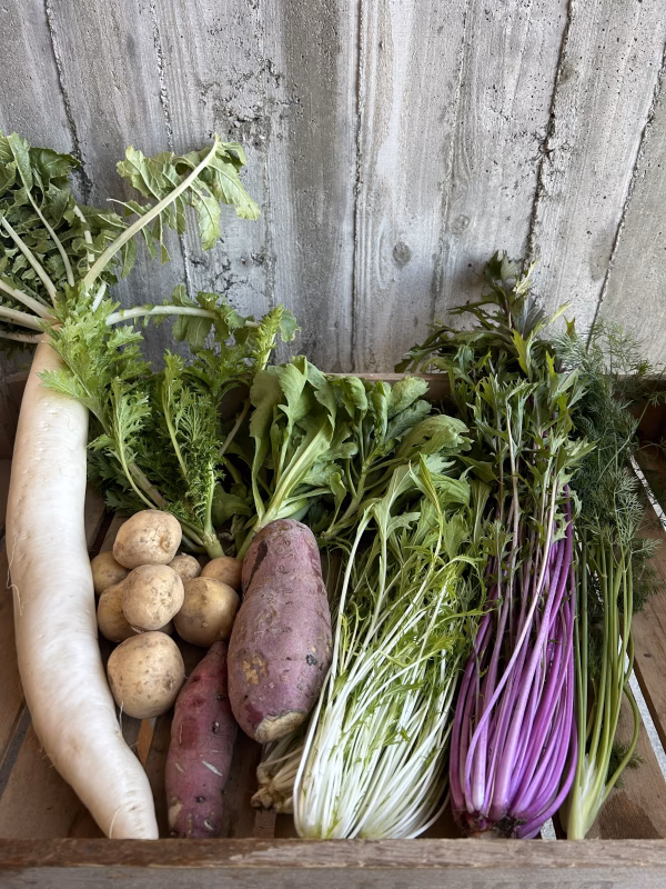 六月農園　旬のおまかせ野菜Sセット4〜6品【農薬化学肥料不使用】
