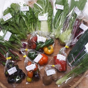 今が旬の彩野菜をお届け。