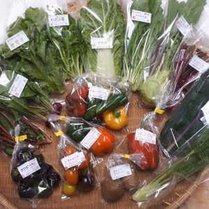 今が旬の彩野菜をお届け。