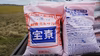 令和3年度千葉県産　新米　コシヒカリ　玄米30㎏