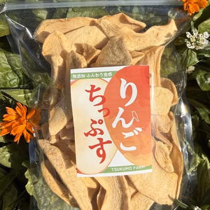 超〔鳥〕厳選   無添加  りんごちっぷす大袋⑫