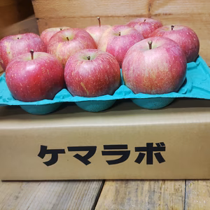 「青森県産」ケマラボのサンふじ　（家庭用りんご）