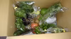 農薬・化学肥料不使用のこだわり野菜セット