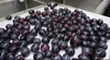 糖度20度以上の葡萄にしか作れない廣島 生レーズンピオーネ