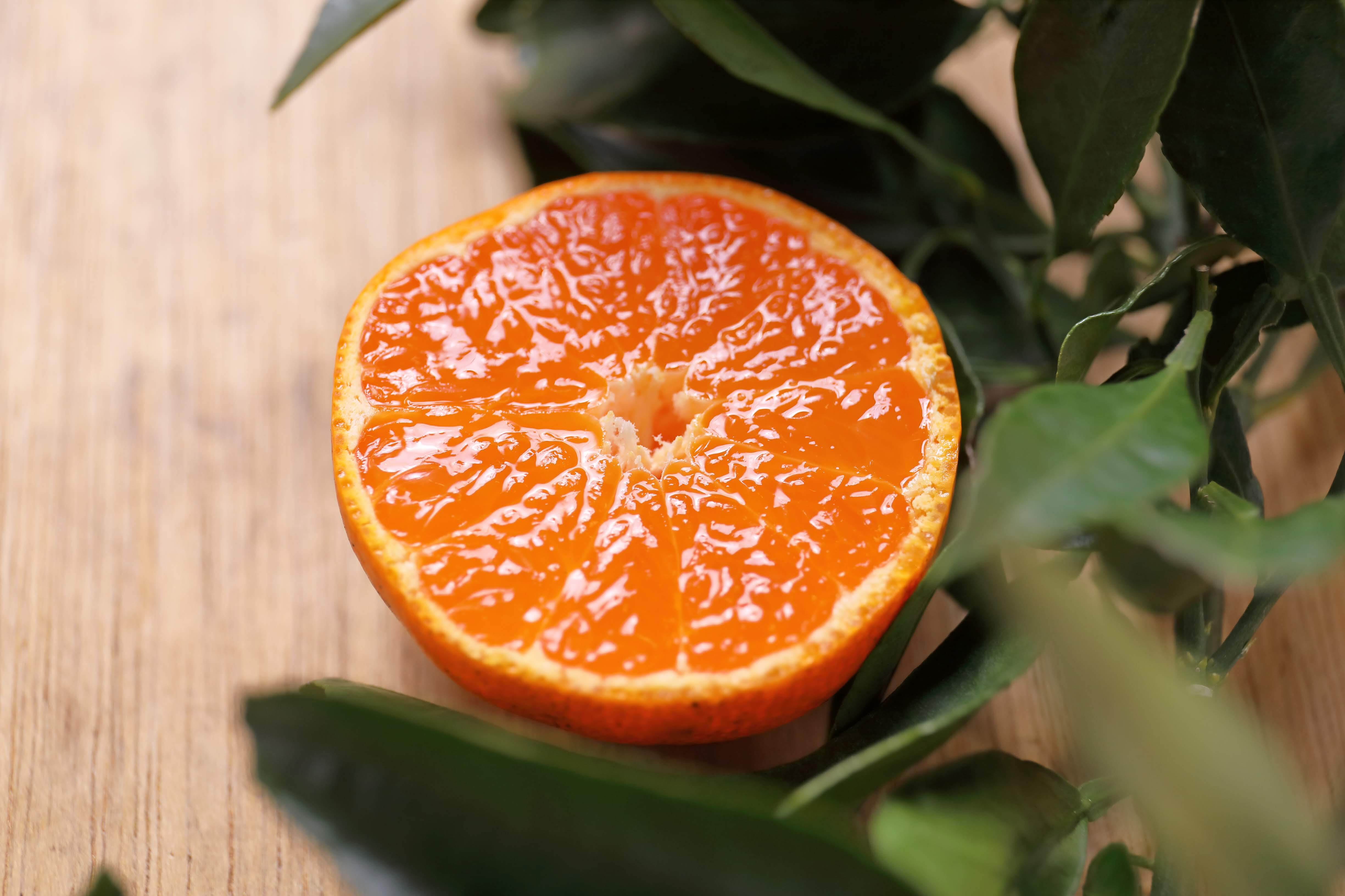 [一般販売]贈答用 樹上熟成よそいきみかん 段ボール入り1.7kg