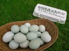 【国産エサ100％】立体農業の自然卵・青い卵アローカナ【放し飼いの有精卵】