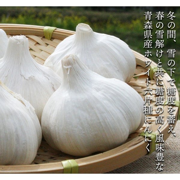 令和7年度産 青森県産ホワイト六片種にんにく 1kg 中・小玉