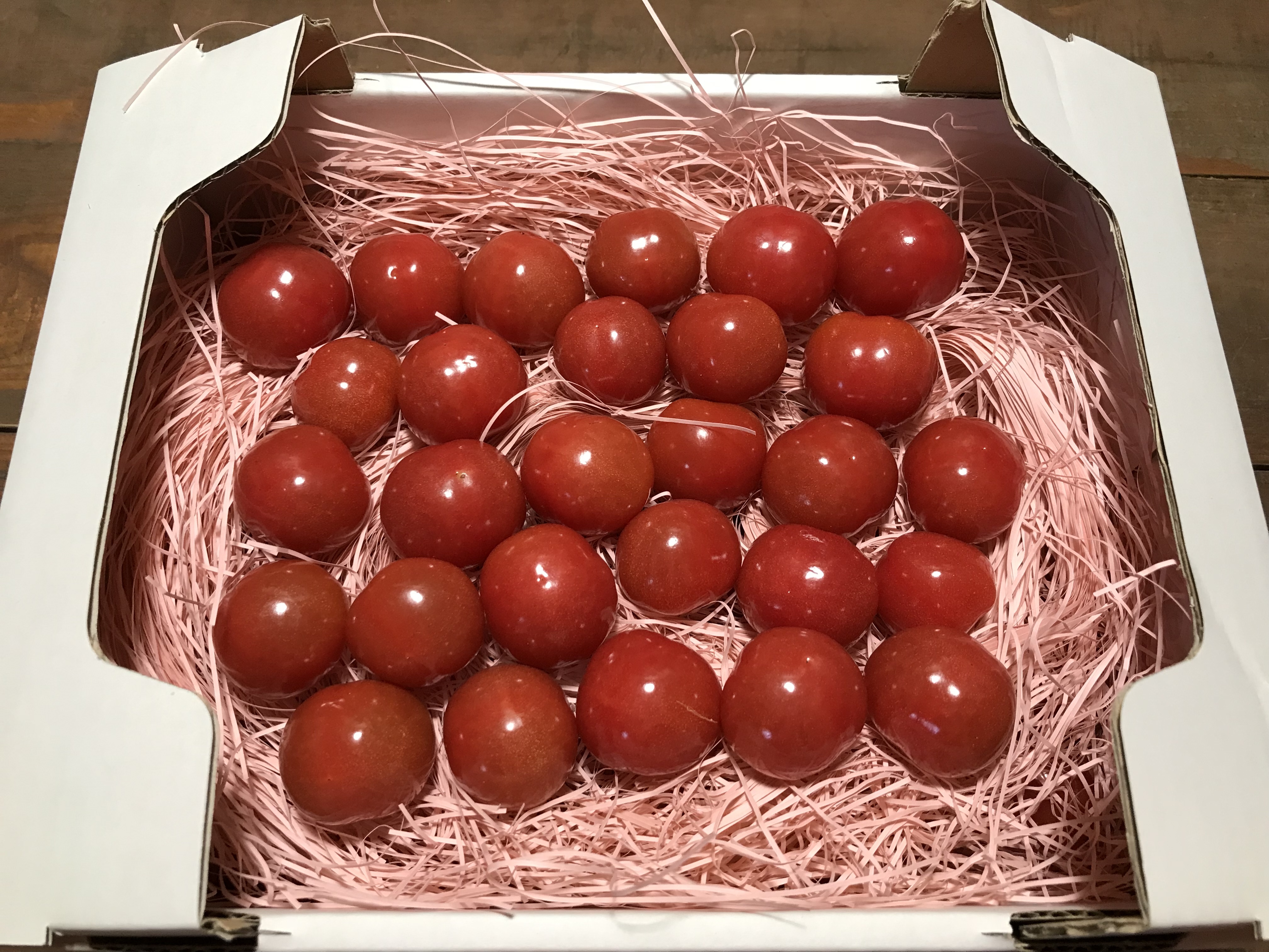 贈答 ふるさと納税 碧南市 お試し 衝撃の一粒 さくらんぼミニトマト プチぷよ 500g H004 057 Firmadys Pl