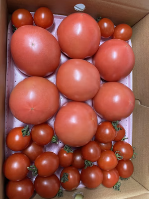 みんなの投稿の画像