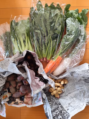 みんなの投稿の画像