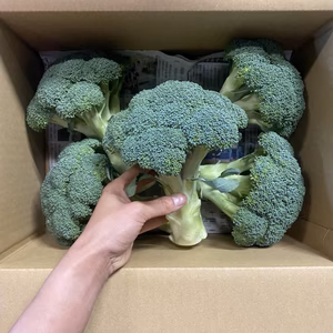 朝採りたてを直発送❕ずっしりブロッコリー5株★