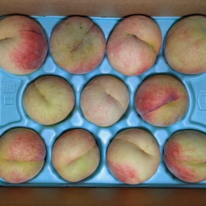 川中島白桃11玉