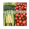 【期間限定】ヒゲまで美味しいヤングコーン&完熟ミニトマトのセット