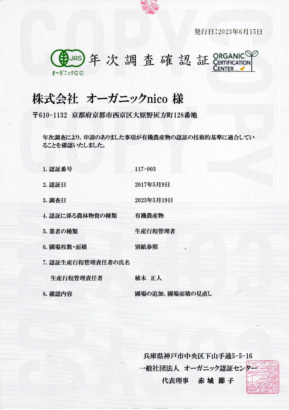 京都洛西　有機jasベビーリーフ大容量　
