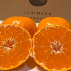 【完熟有田みかん】5キロ　ギフトにも　温州みかん　宮川早生　早生みかん